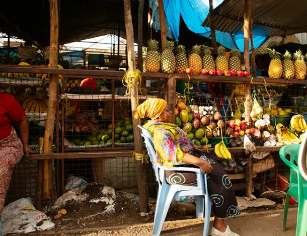 El día que Rosie vio